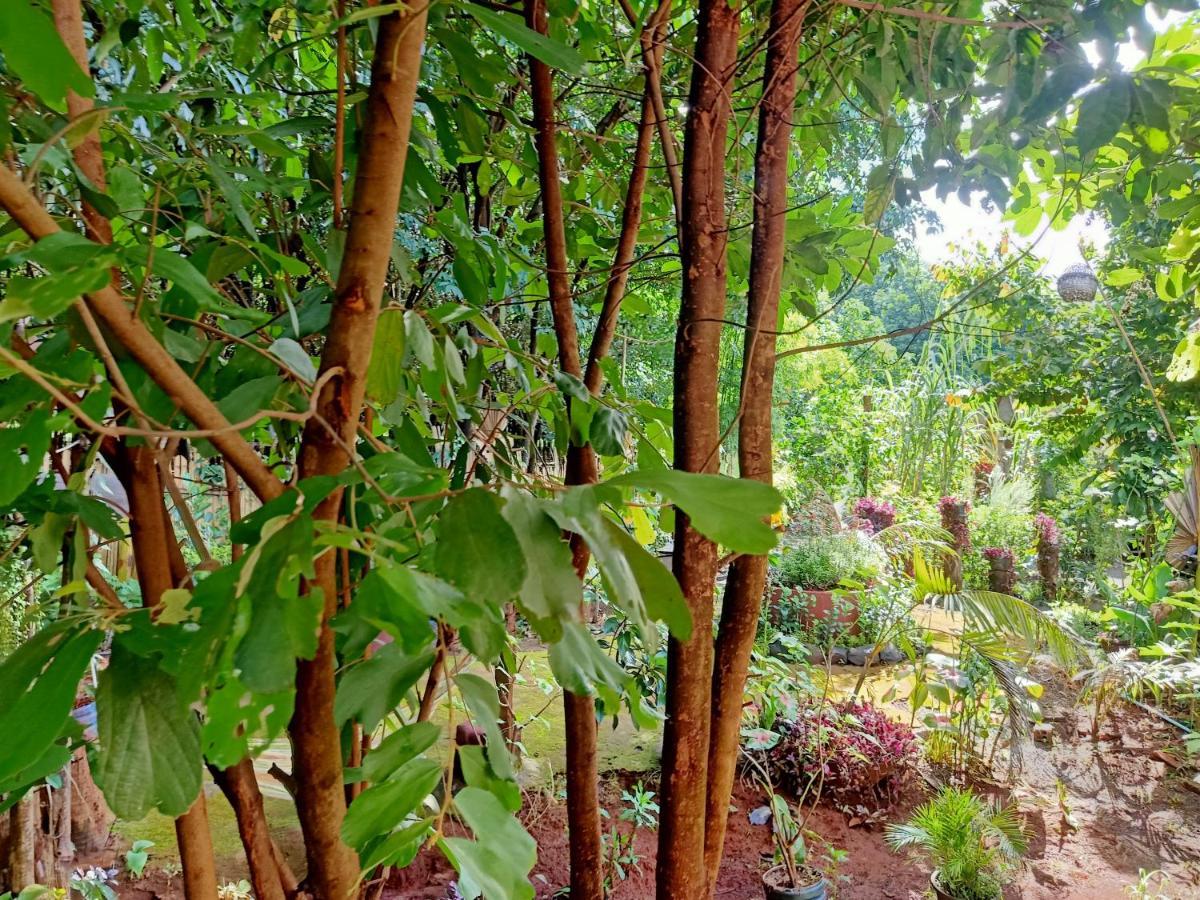 Tribal Village Homestay & Trekking Banlung Exteriér fotografie