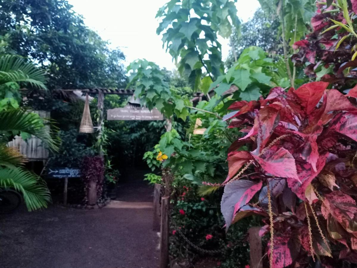 Tribal Village Homestay & Trekking Banlung Exteriér fotografie