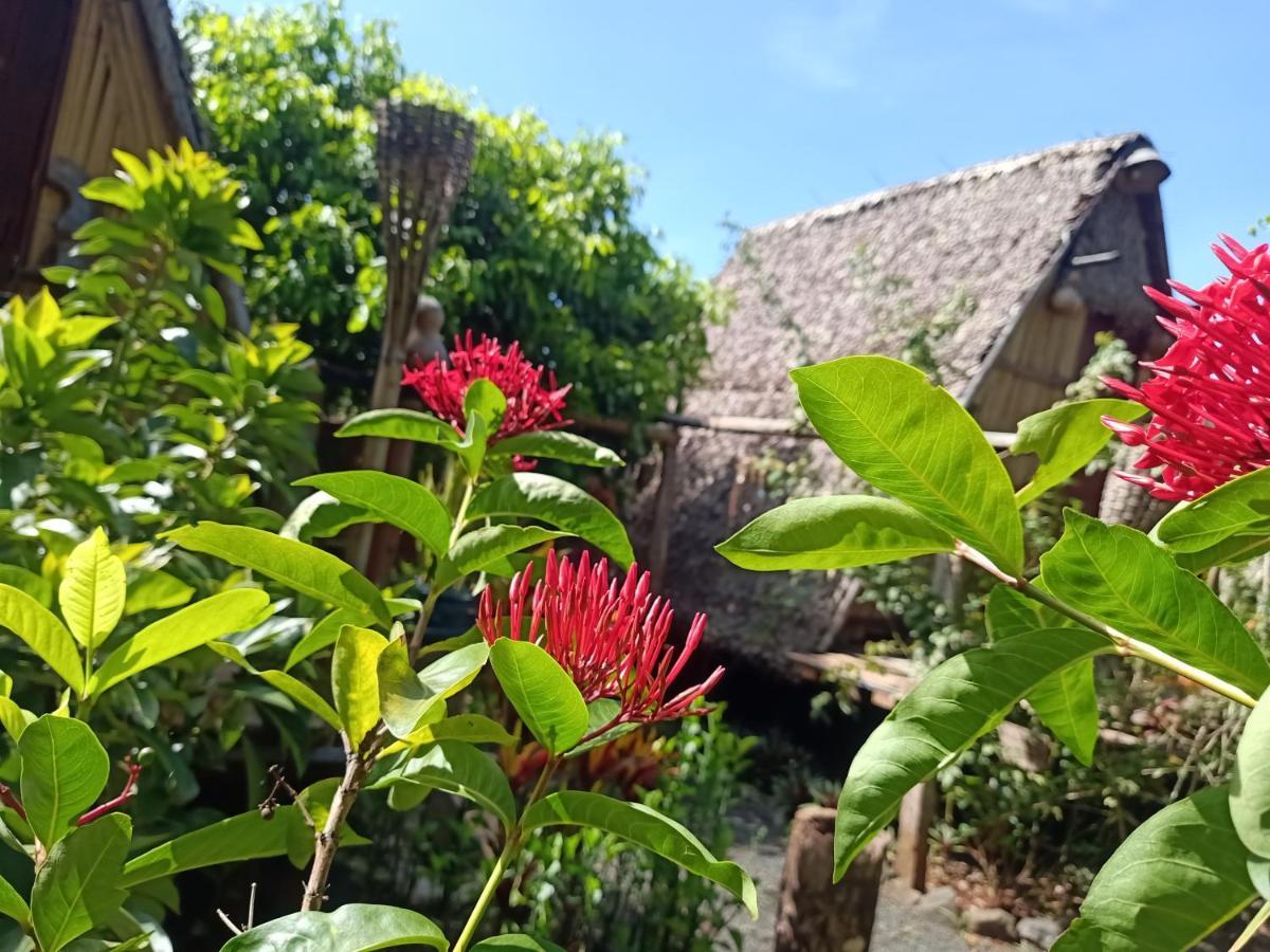 Tribal Village Homestay & Trekking Banlung Exteriér fotografie