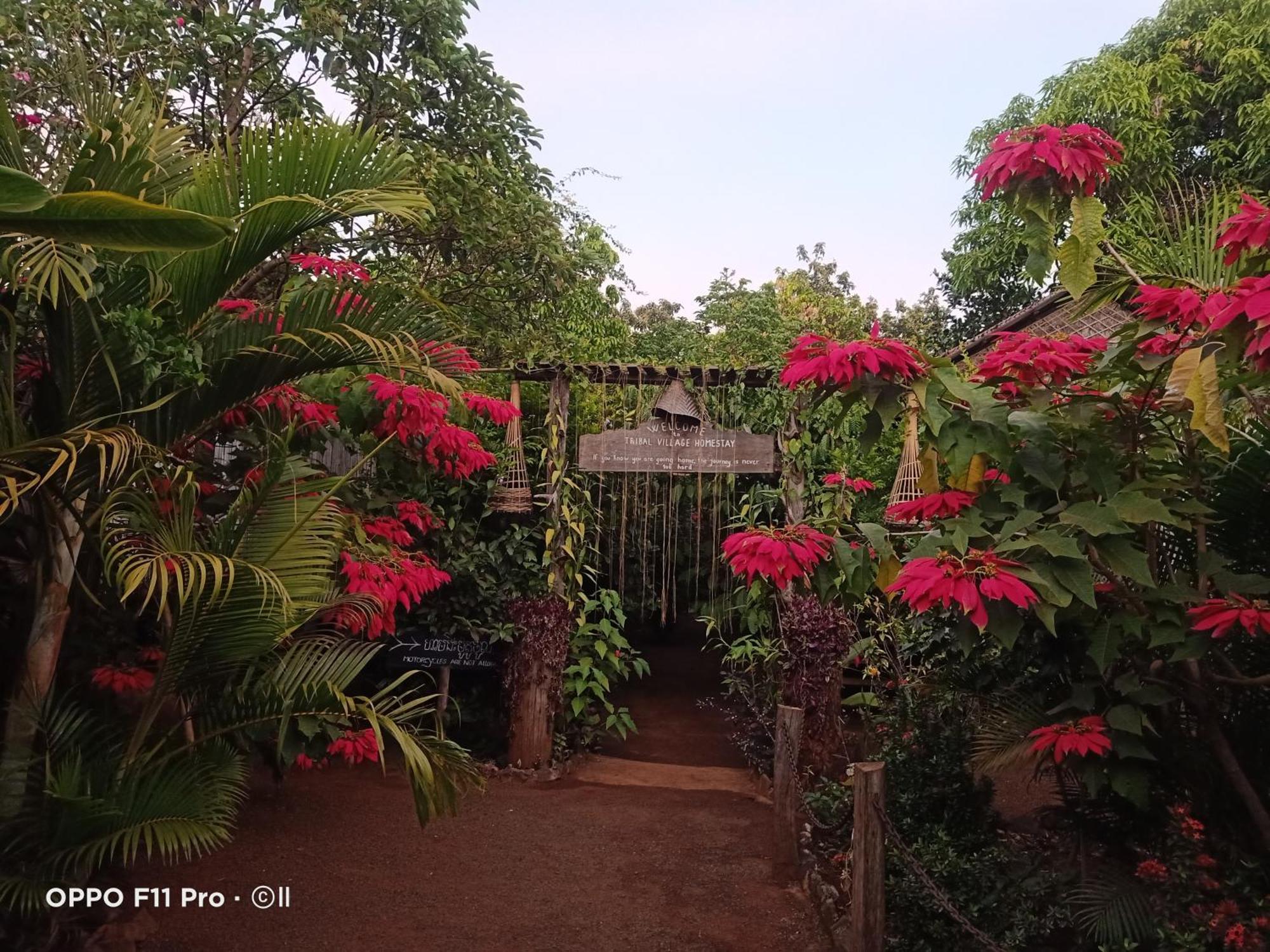 Tribal Village Homestay & Trekking Banlung Pokoj fotografie
